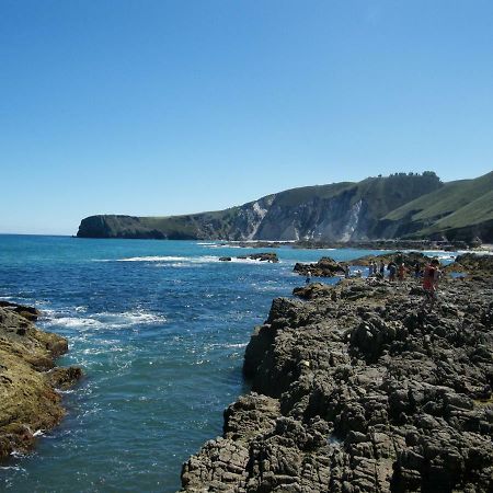 Viviendas De Uso Turistico La Arboleda I Y II Colombres Luaran gambar