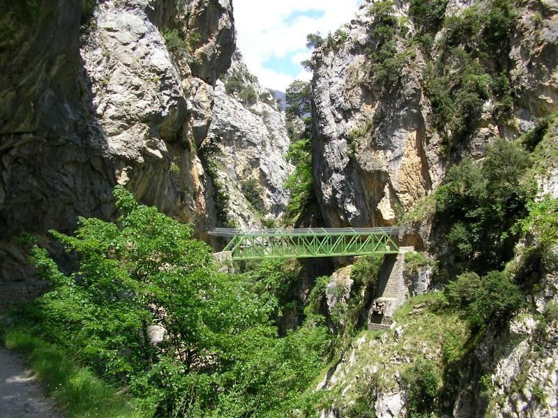 Viviendas De Uso Turistico La Arboleda I Y II Colombres Bilik gambar