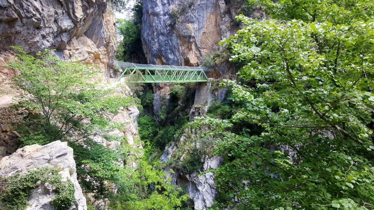 Viviendas De Uso Turistico La Arboleda I Y II Colombres Luaran gambar